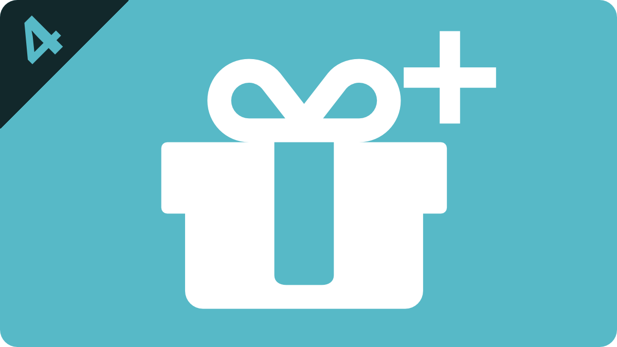 Geschenkartikel Plus Plugin f&uuml;r JTL Shop 4 by NETZdinge.de